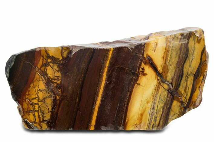Polished Desert Sunset Banded Iron Section - Western Australia #353831
